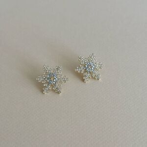 Snowflake earr S780